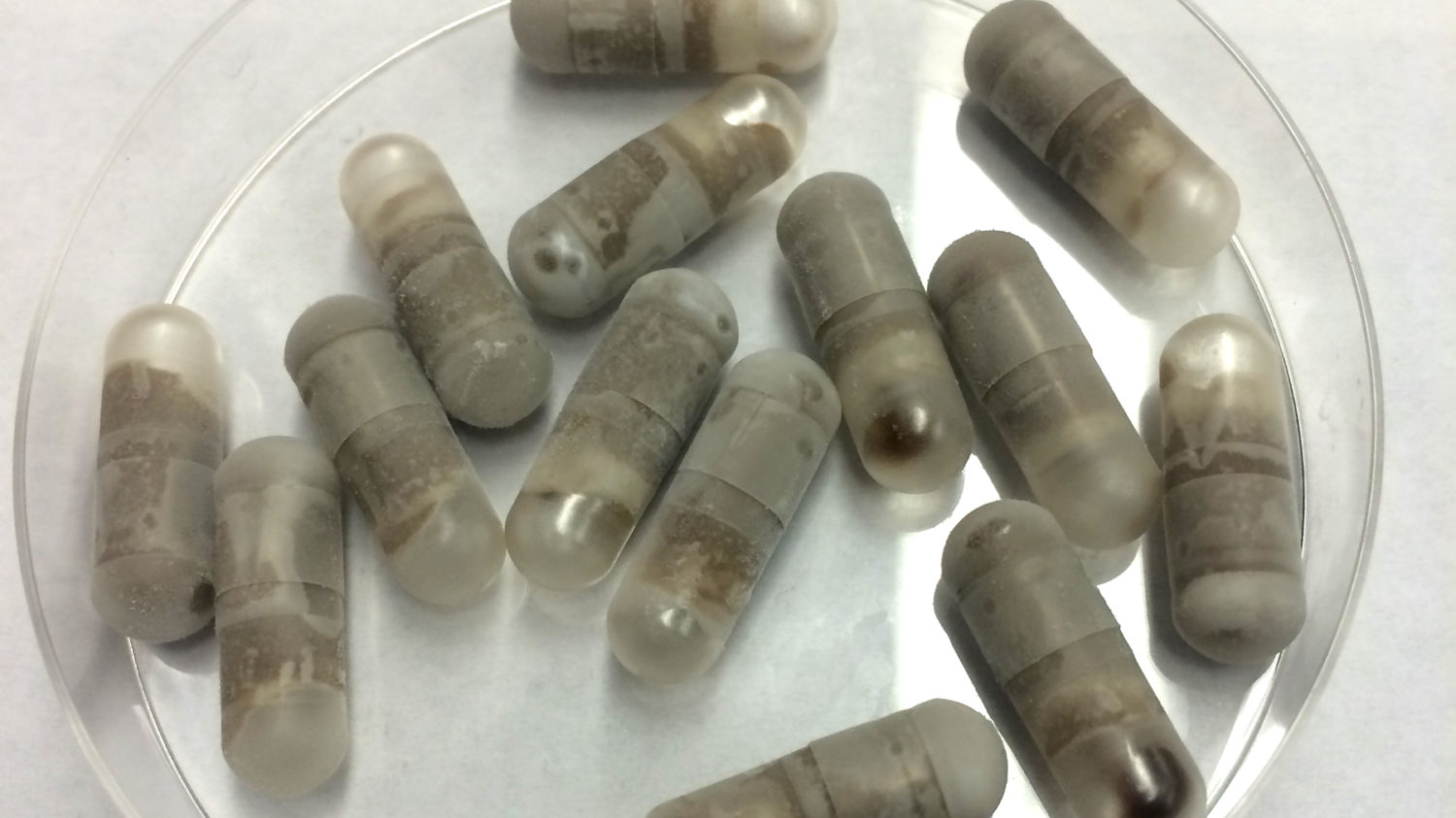 Poop Pills for Peanut Allergy: What Early Results Show