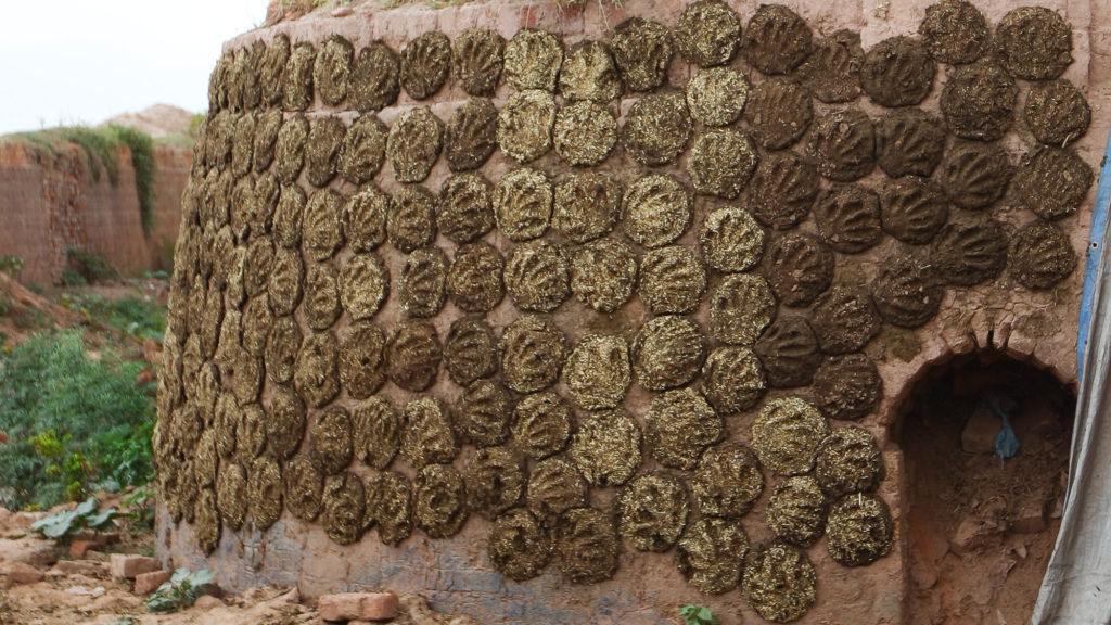 hortensien düngen farbe Purgrün Bauernhortensie-Dünger 1 Liter