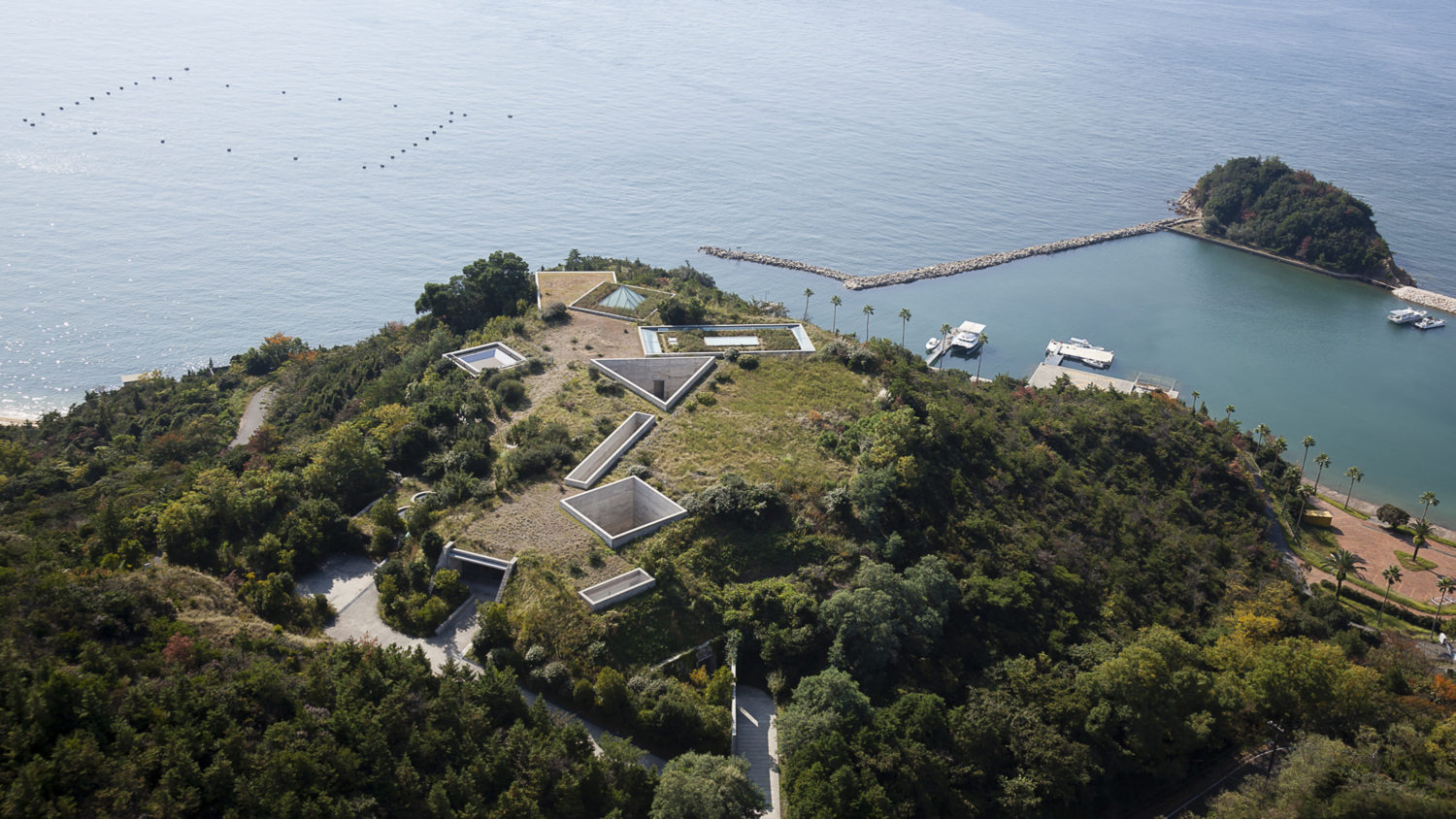 How Art Transformed A Remote Japanese Island | WAMU