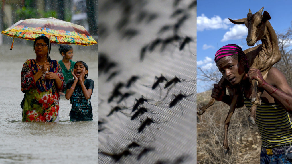 How Climate Change Is Already Affecting Health, Spreading Disease WAMU