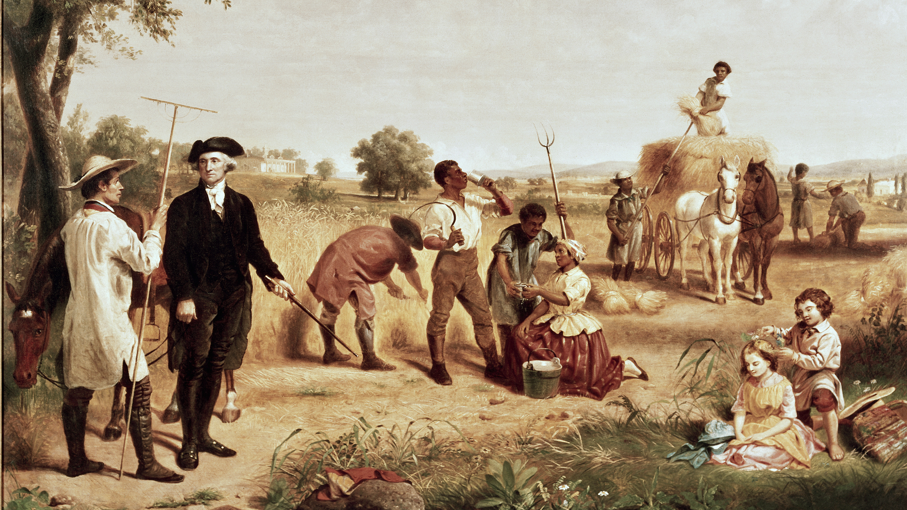 Why Schools Fail To Teach Slavery's 'Hard History' | WAMU