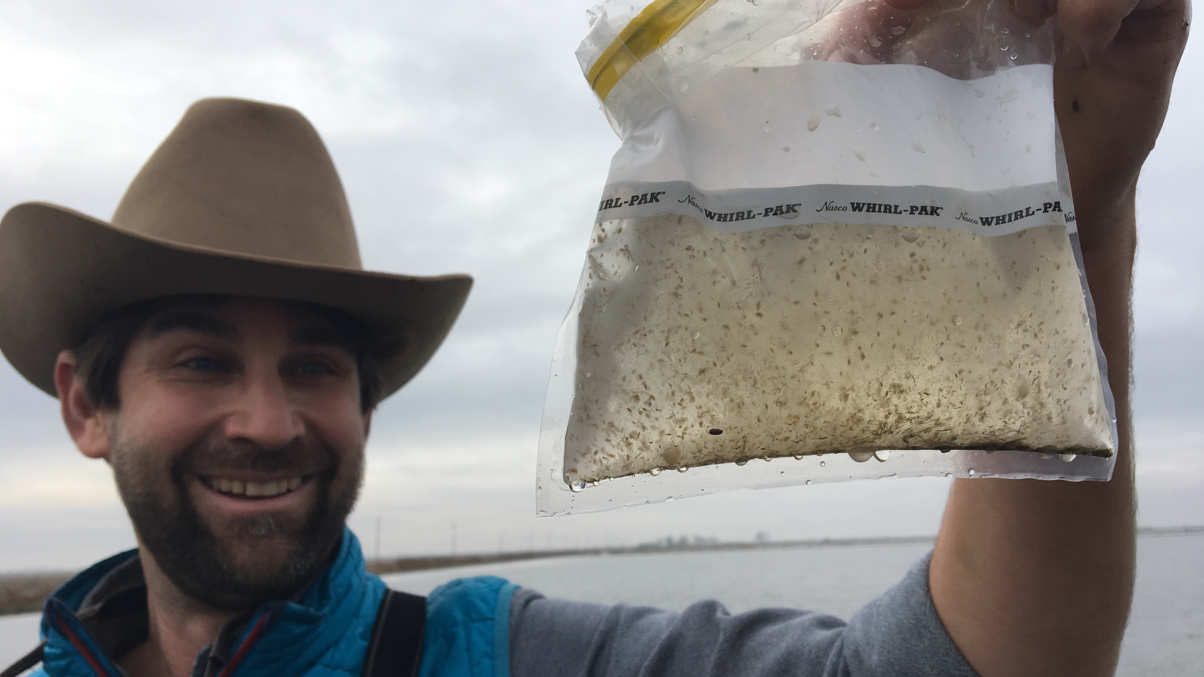 A 'Floating Fillet': Rice Farmers Grow Bugs To Replenish California's ...