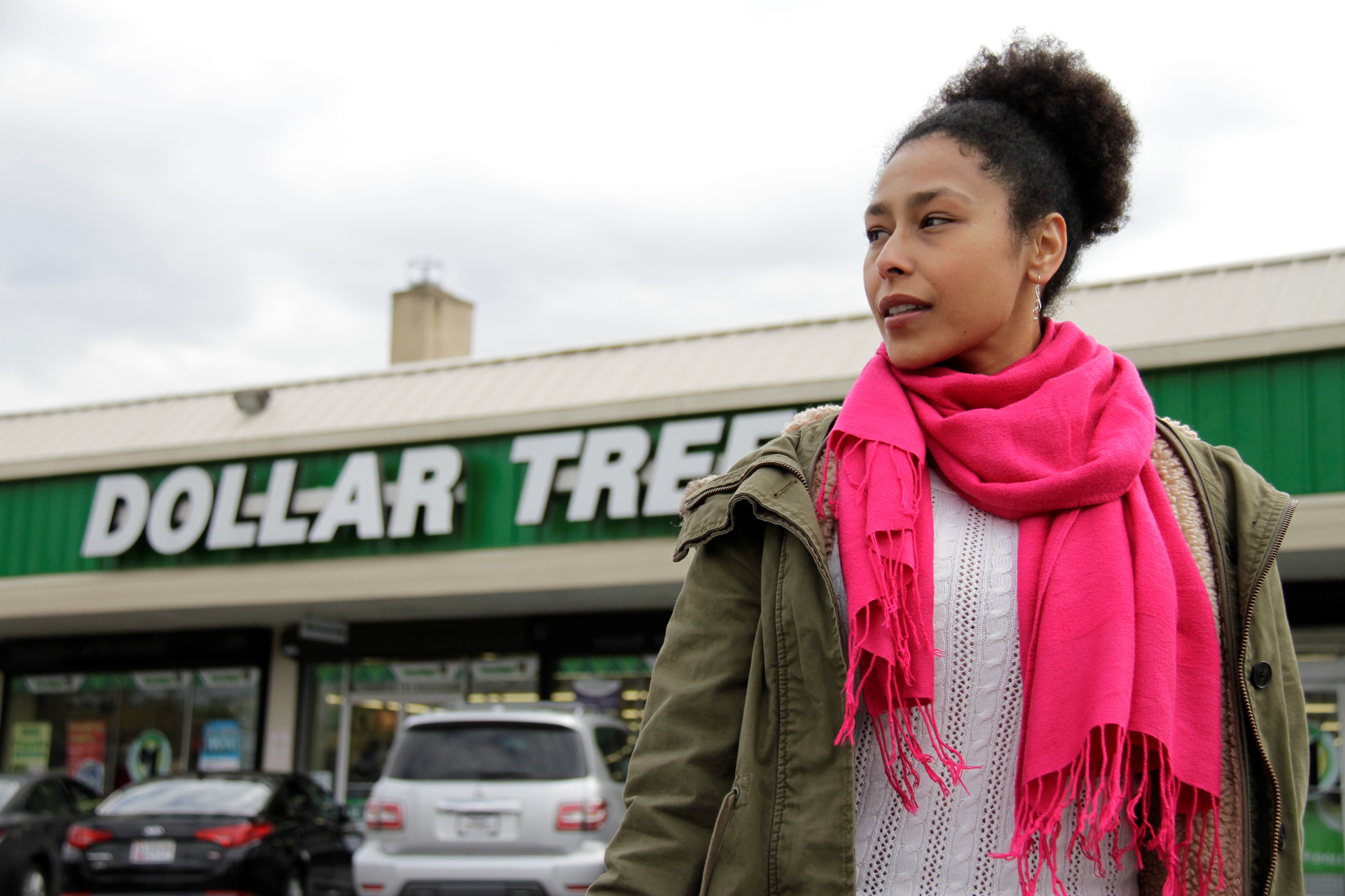 What is the true cost of dollar stores to the D.C. region?