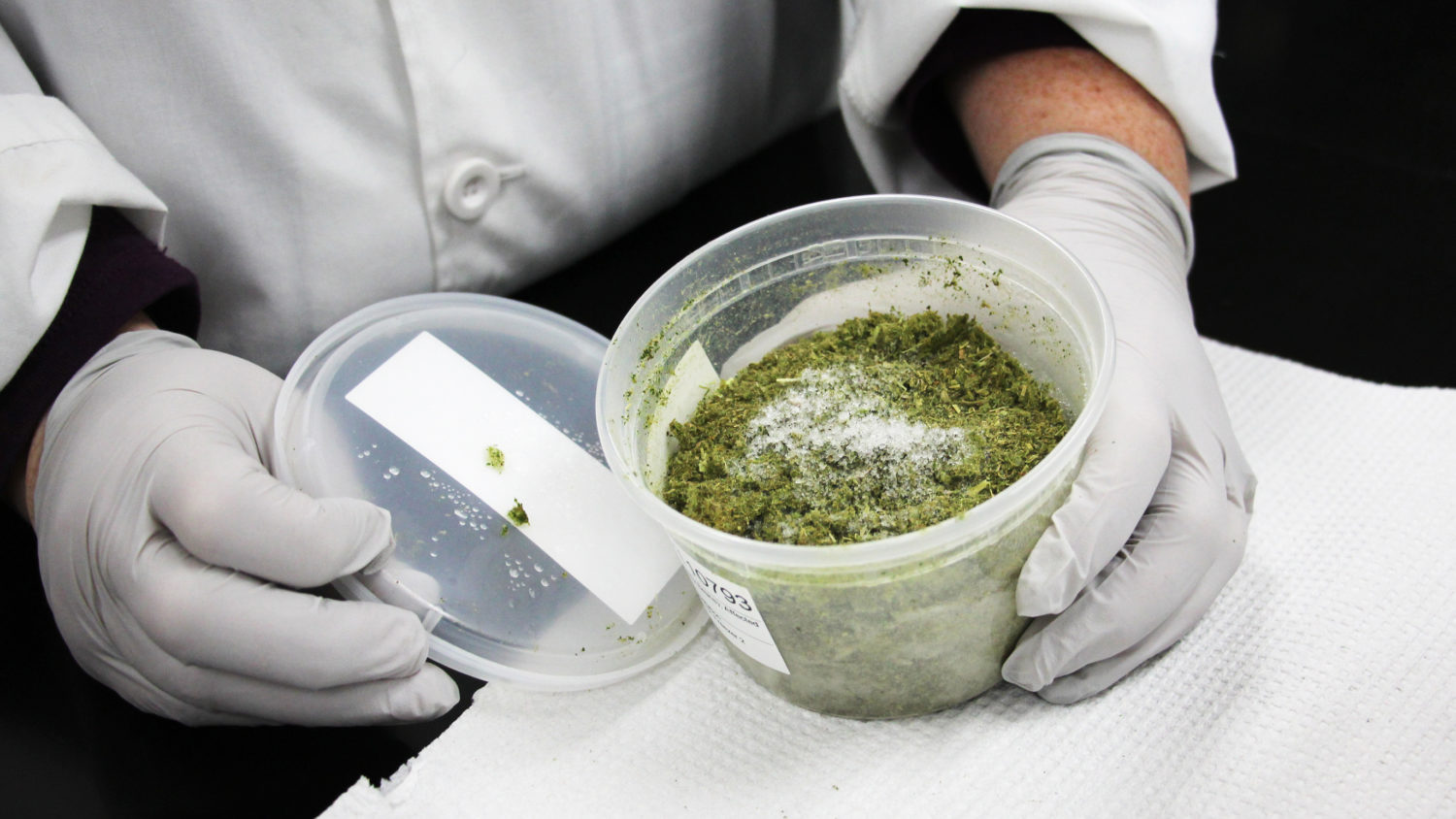 31 Volunteer Herbicide Label Labels Design Ideas 2020