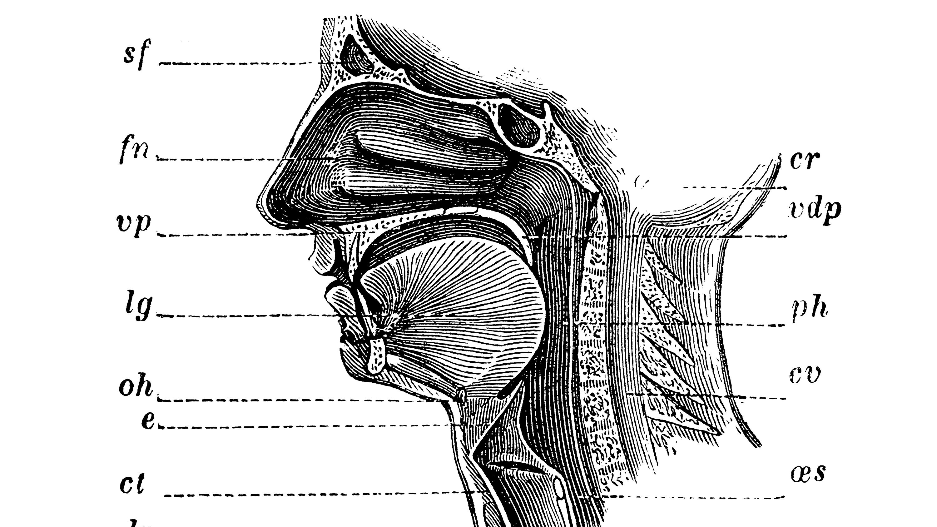Is Loss Of Smell And Taste A Symptom Of COVID19? Doctors Want To Find