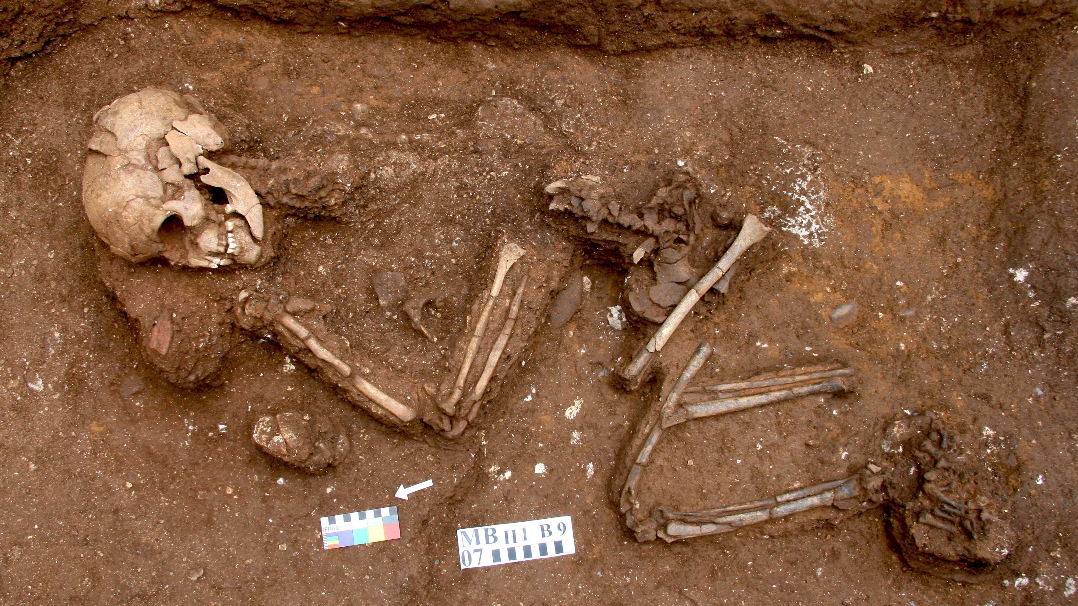 Ancient Bones Offer Clues To How Long Ago Humans Cared For The Vulnerable |  WAMU