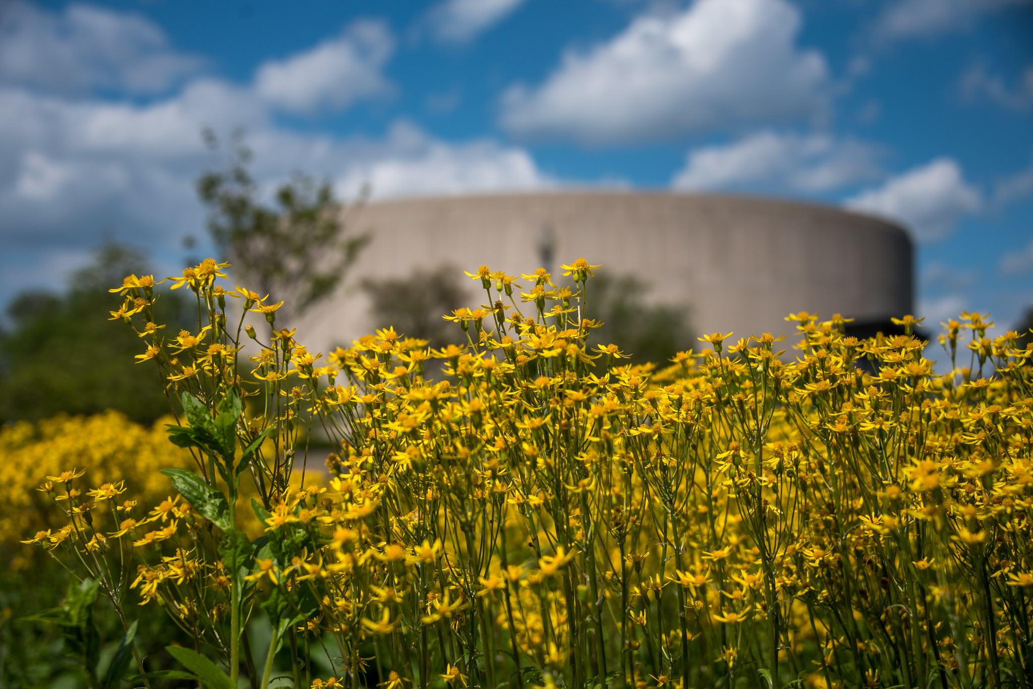Get Out There Ecoconscious Earth Day events around DC WAMU
