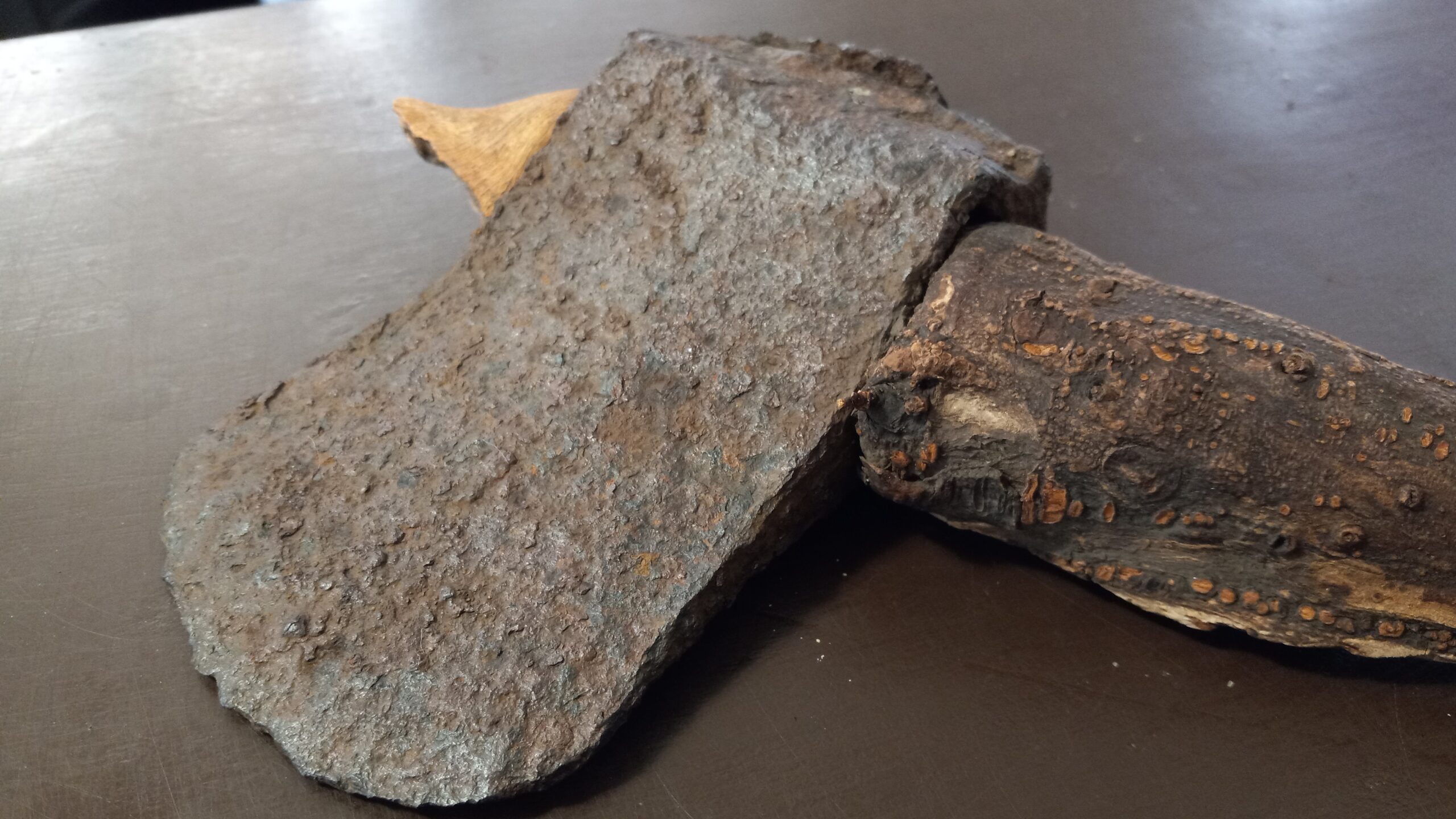 Kansas man finds a mythical-looking ax with a root for a handle in