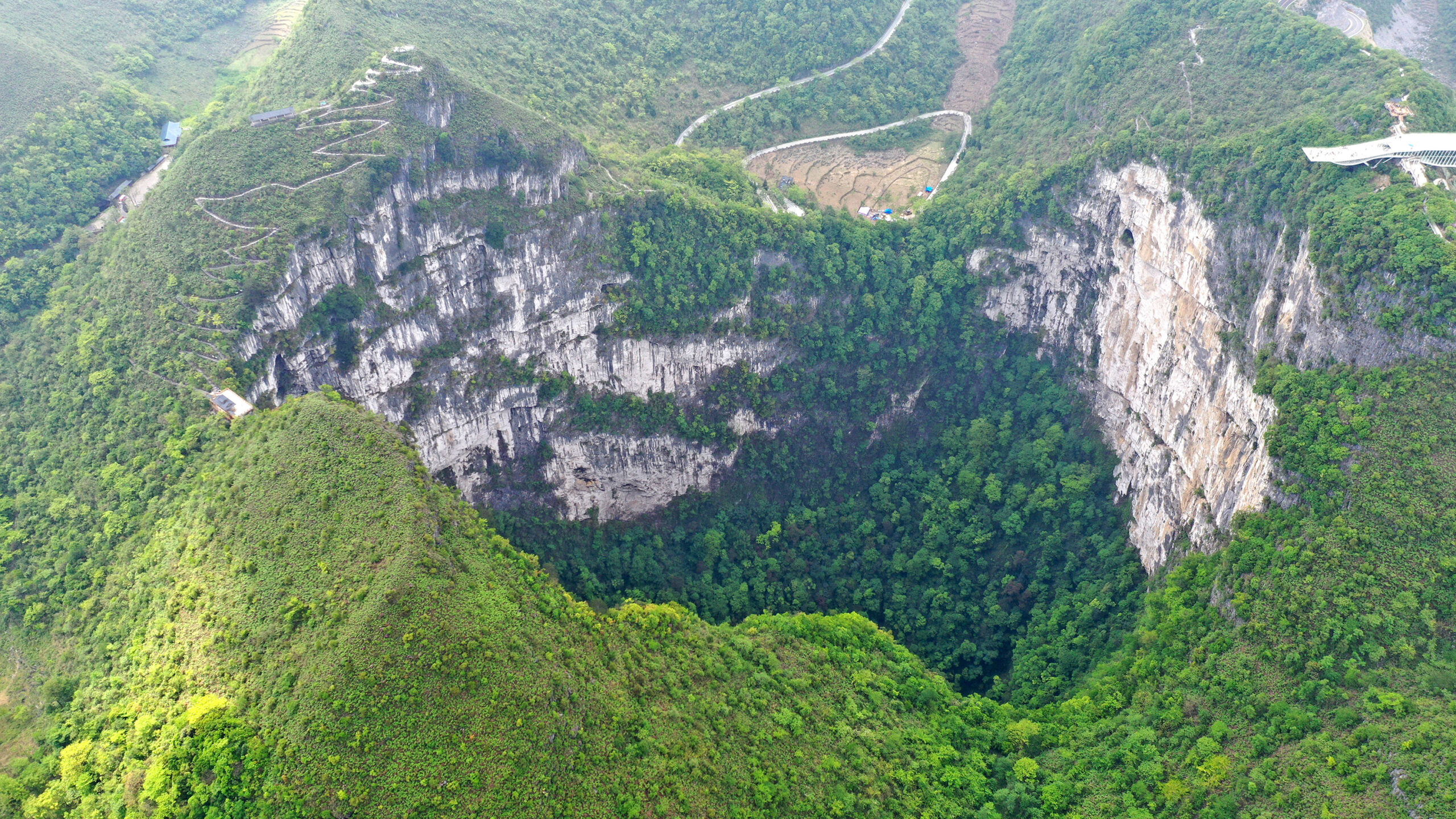 Scientists discover an ancient forest inside a giant sinkhole in