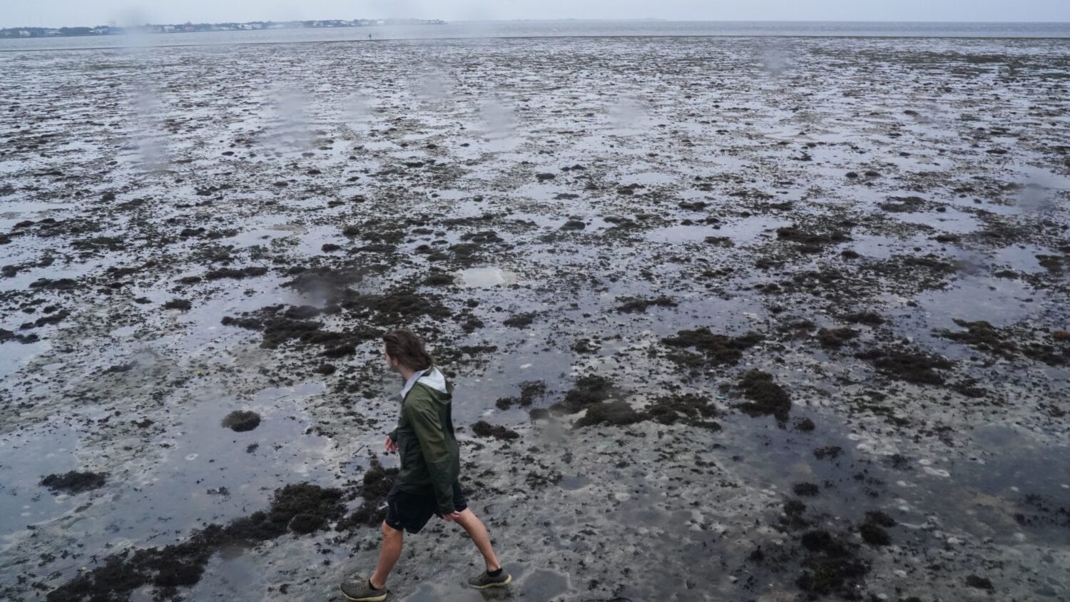 Hurricane Ian sucked water away from Florida's coast as it moved north |  WAMU, image size:1500x844