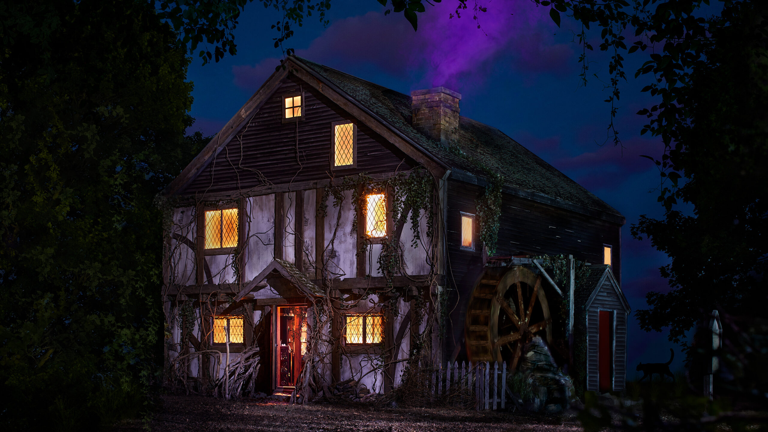 The 'Hocus Pocus' cottage is now visitors on Airbnb WAMU