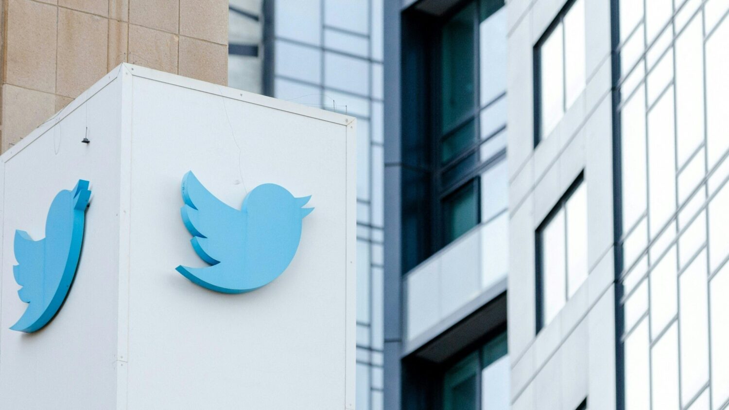 Twitter's chaos could make political violence worse outside of the U.S. |  WAMU