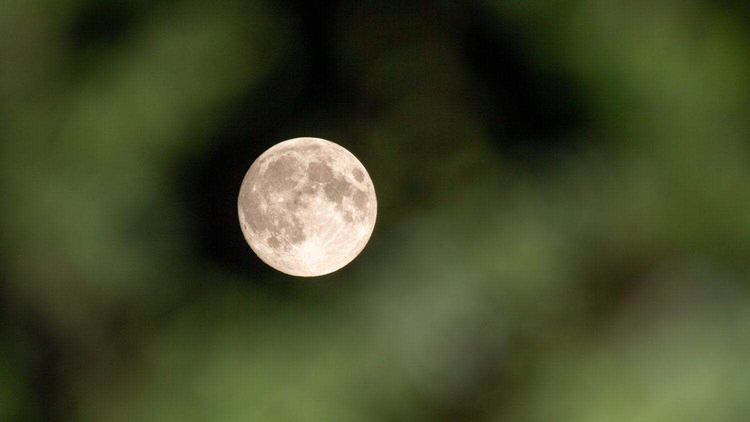 The first supermoon of the year will light up the night sky Monday