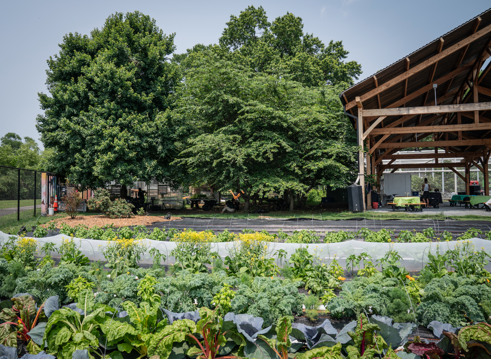 Voices of Wards 7 and 8: The Well at Oxon Run – a place for food, community, and quiet reflection
