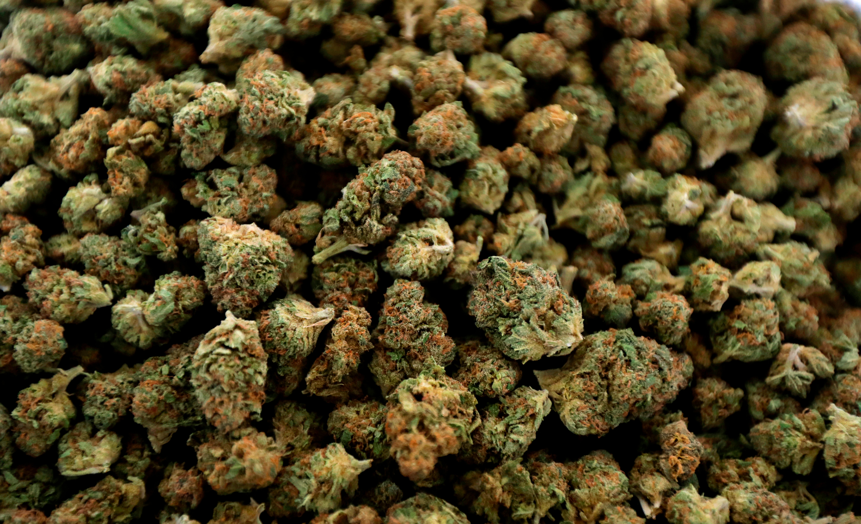 District of cannabis: Is D.C.’s new weed economy sustainable?
