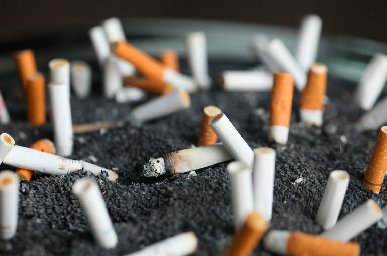 cigarette biologique Cigarette Alternative: Smoke Break Bundle