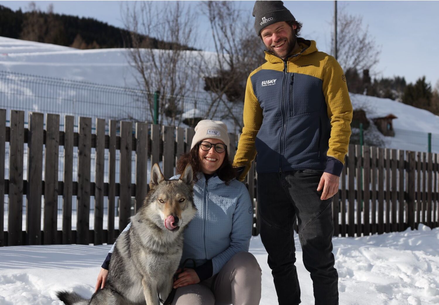 How Nazgul the wolfdog made his run for Winter Olympic glory in Italy | WAMU