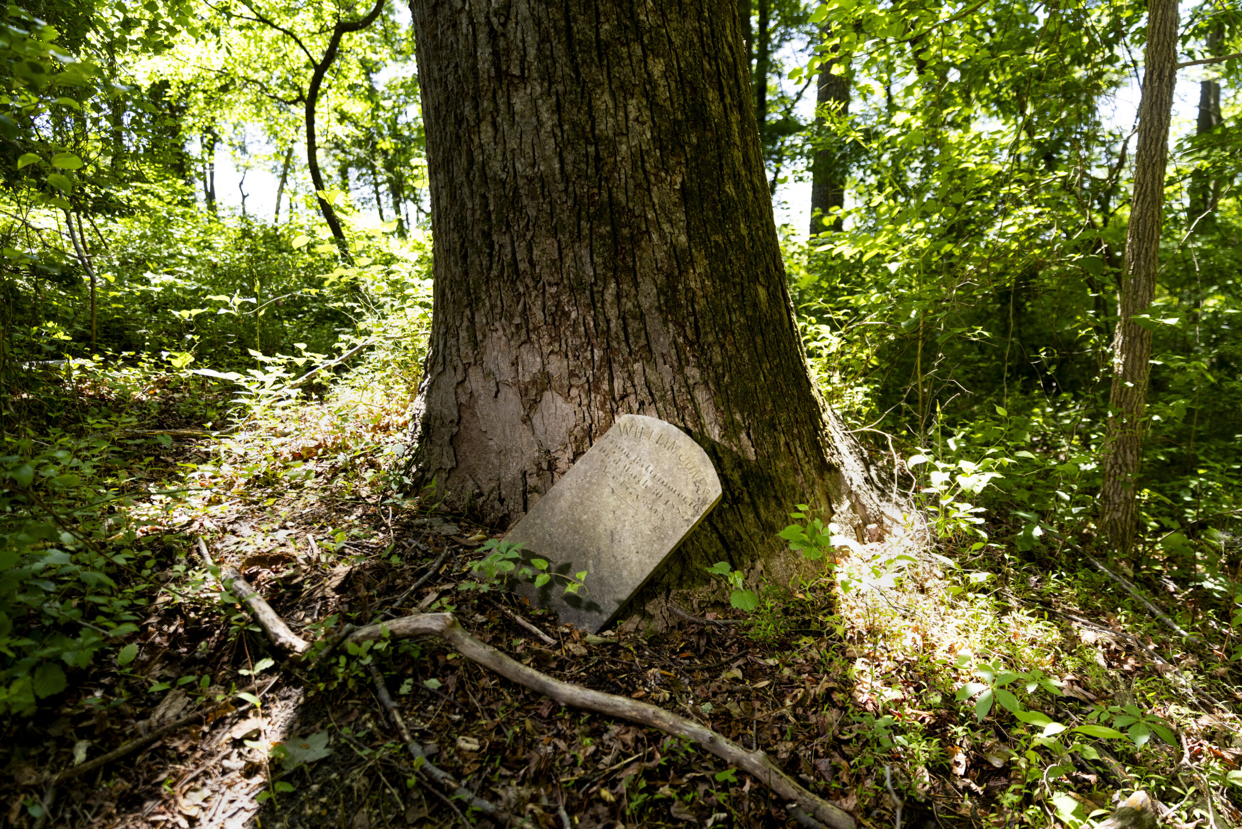 Maryland 200'den fazla siyahi gencin...