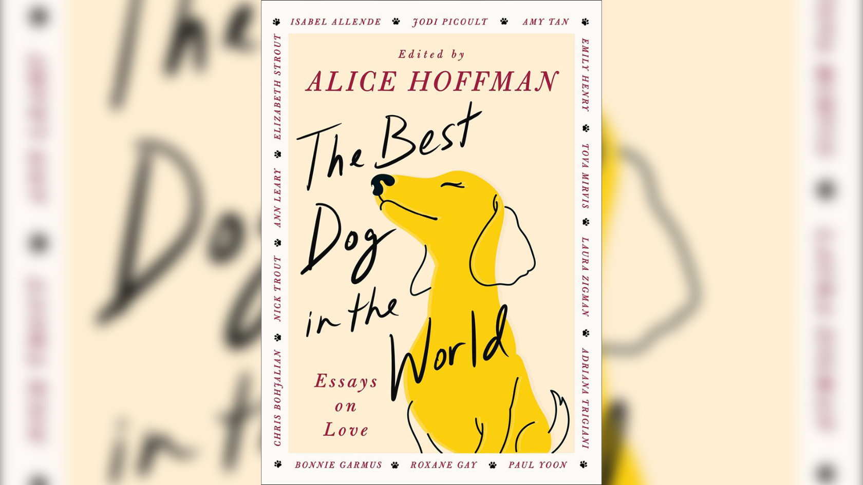 Why your dog is ‘The Best Dog in the World’ (Rebroadcast) episode artwork