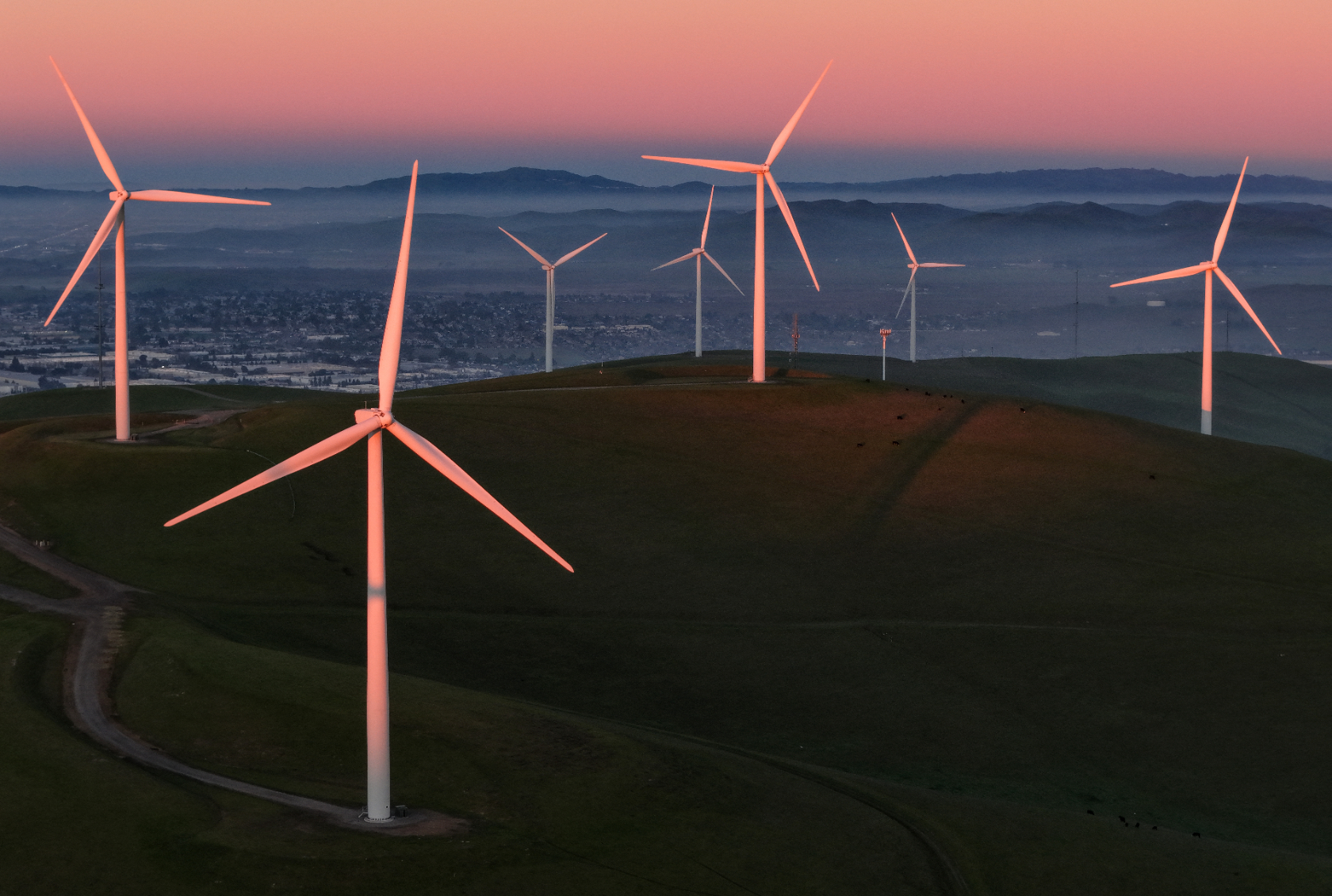 The Trump Administration’s efforts to curtail wind projects