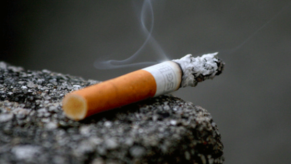 premium ryo tobacco Export A Full Premium Cigarette Rolling Tobacco 200g
